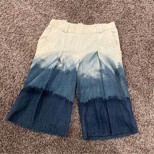 Blue Ombré Shorts